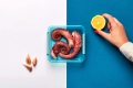 arctic-octopus-blue+hand.jpg